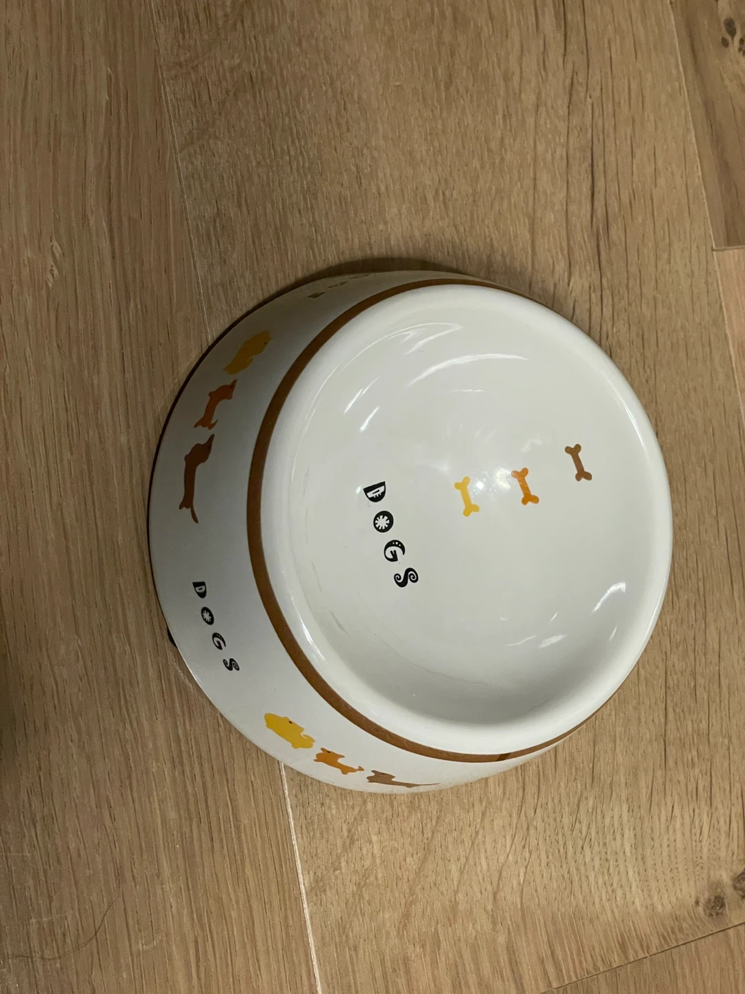DOGS 犬用　ボウル  フード　水　陶器製