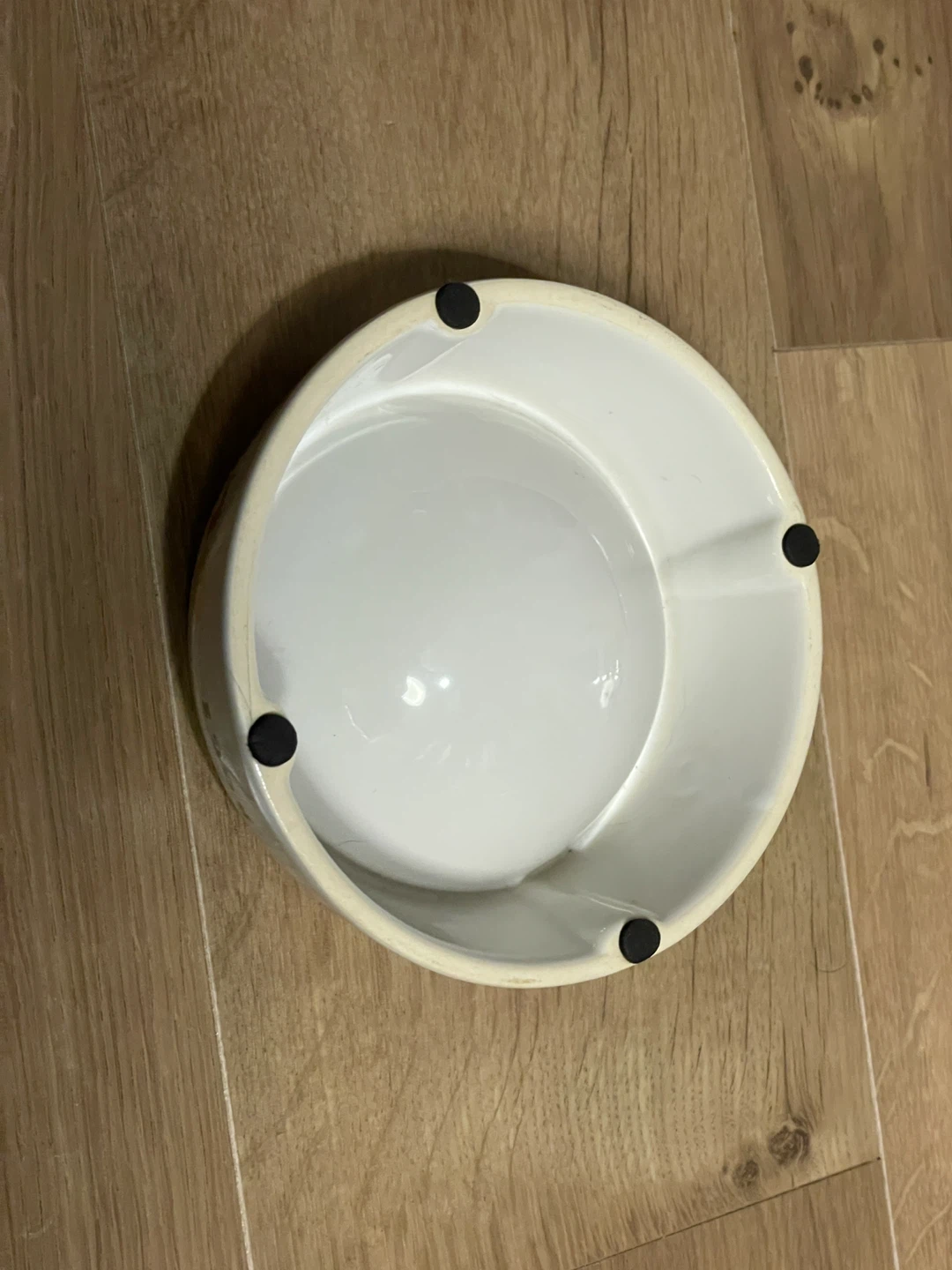 DOGS 犬用　ボウル  フード　水　陶器製の写真2枚目