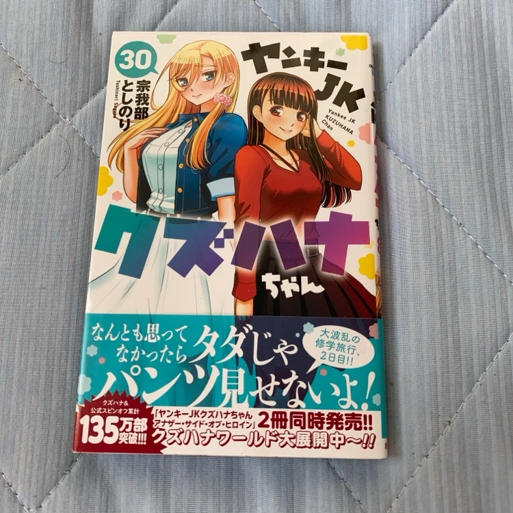 ヤンキーJKクズハナちゃん 30巻