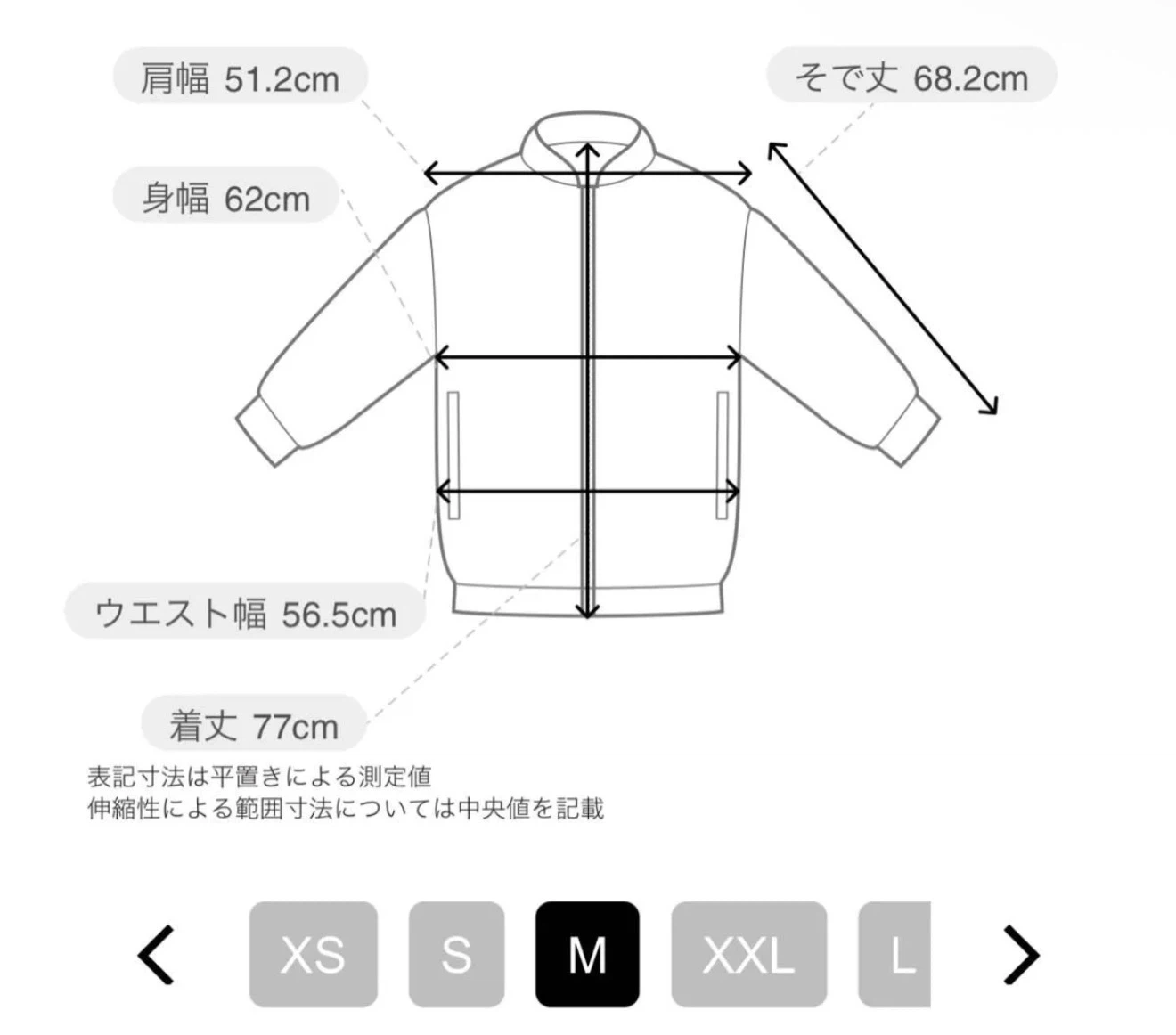 断捨離:新品　ARC'TERYX アークテリクス アルファ SV ジャケットの写真4枚目