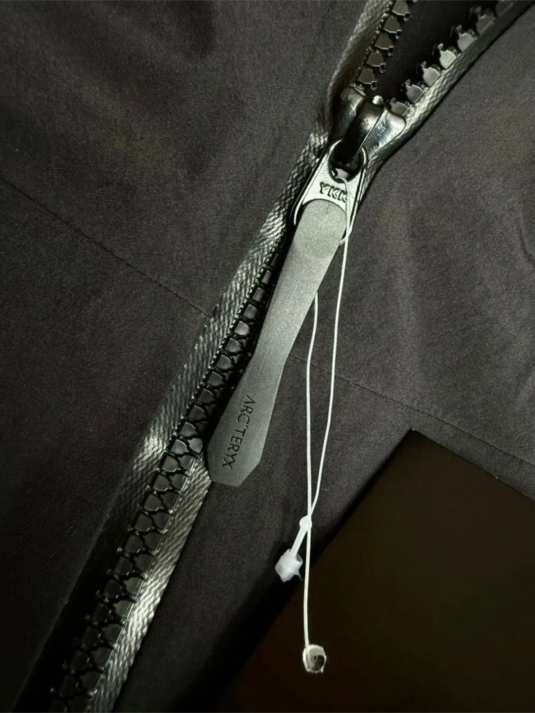 断捨離:新品 ARC'TERYX アークテリクス アルファ SV ジャケットの写真5枚目