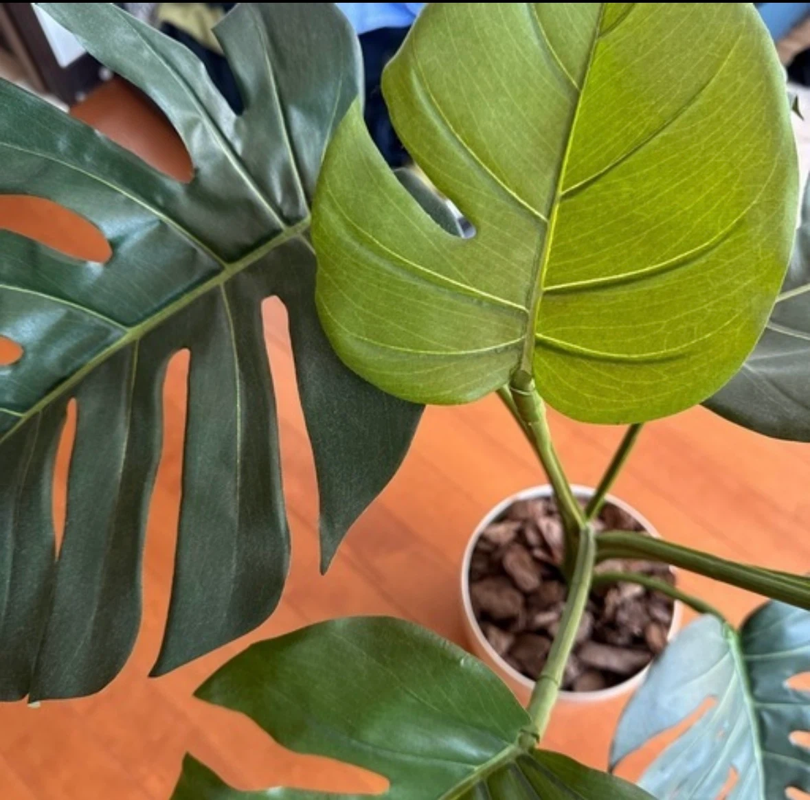 モンステラ フェイクグリーン 観葉植物 白鉢の写真2枚目
