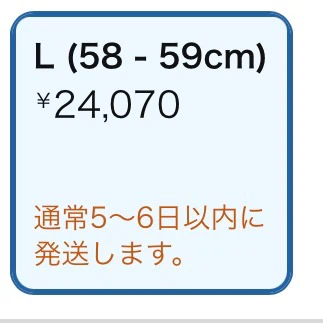 HJC フルフェイスヘルメット Lサイズ 58-59cmの写真7枚目