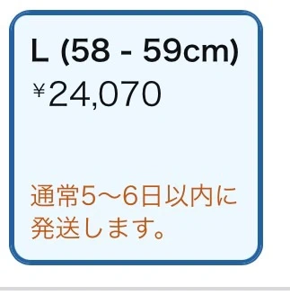 HJC フルフェイスヘルメット Lサイズ 58-59cmの写真7枚目