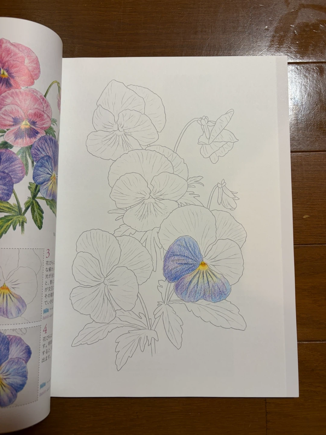 大人の塗り絵 クーピーBOX 22色セットの写真3枚目