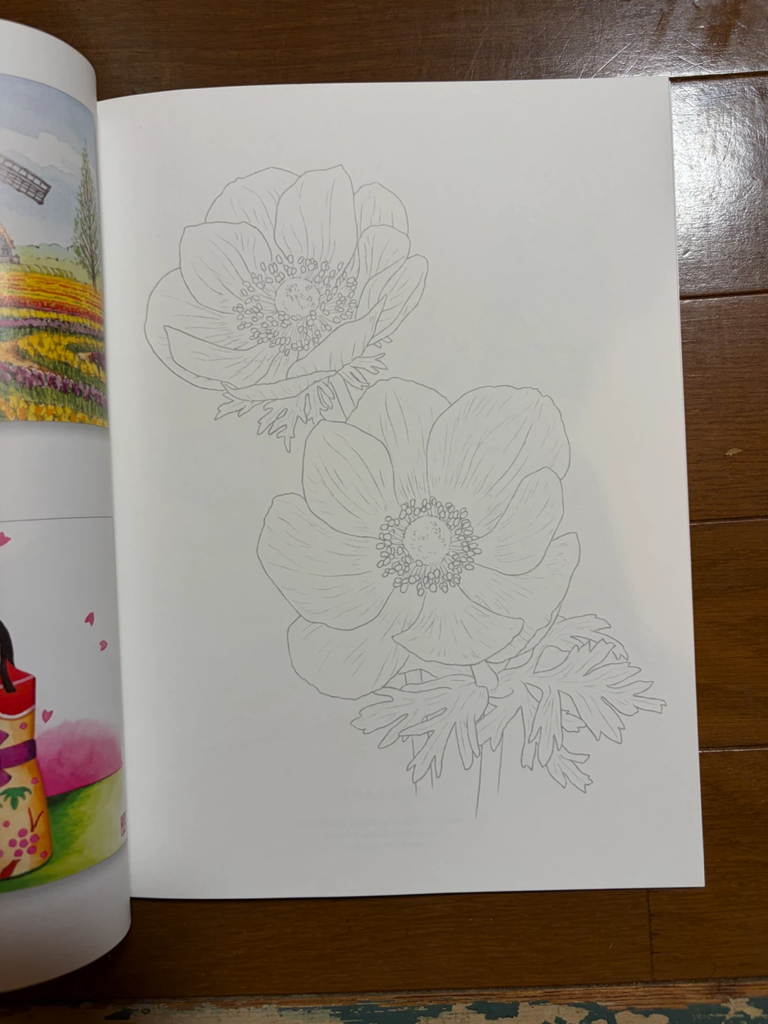 大人の塗り絵 クーピーBOX 22色セットの写真4枚目