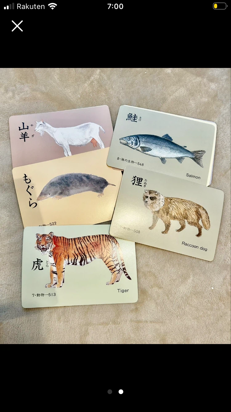 たのしい絵カード1500 家庭保育園の写真2枚目