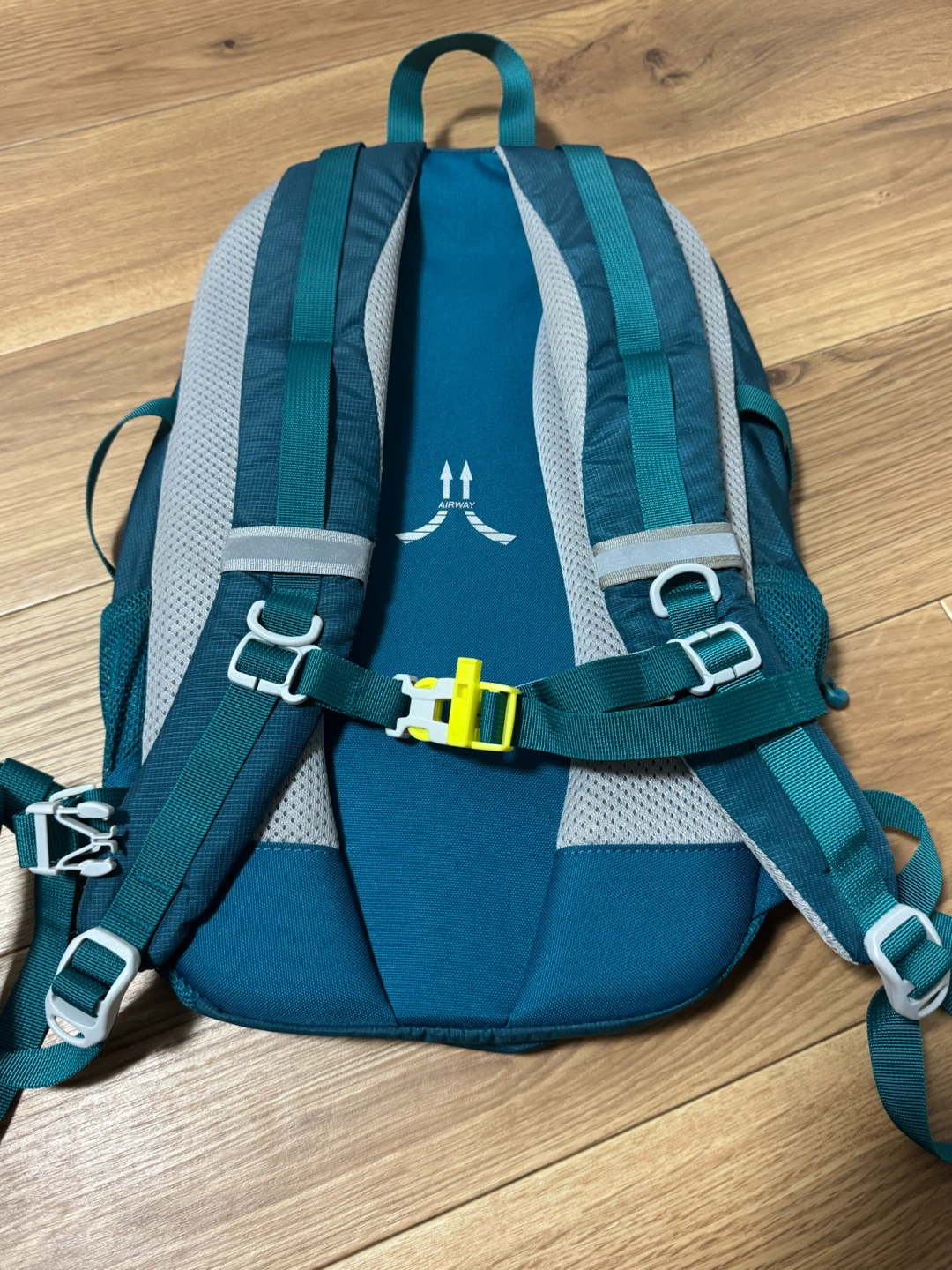 ネボライノ ADVANCE 20 バックパック グリーンの写真2枚目
