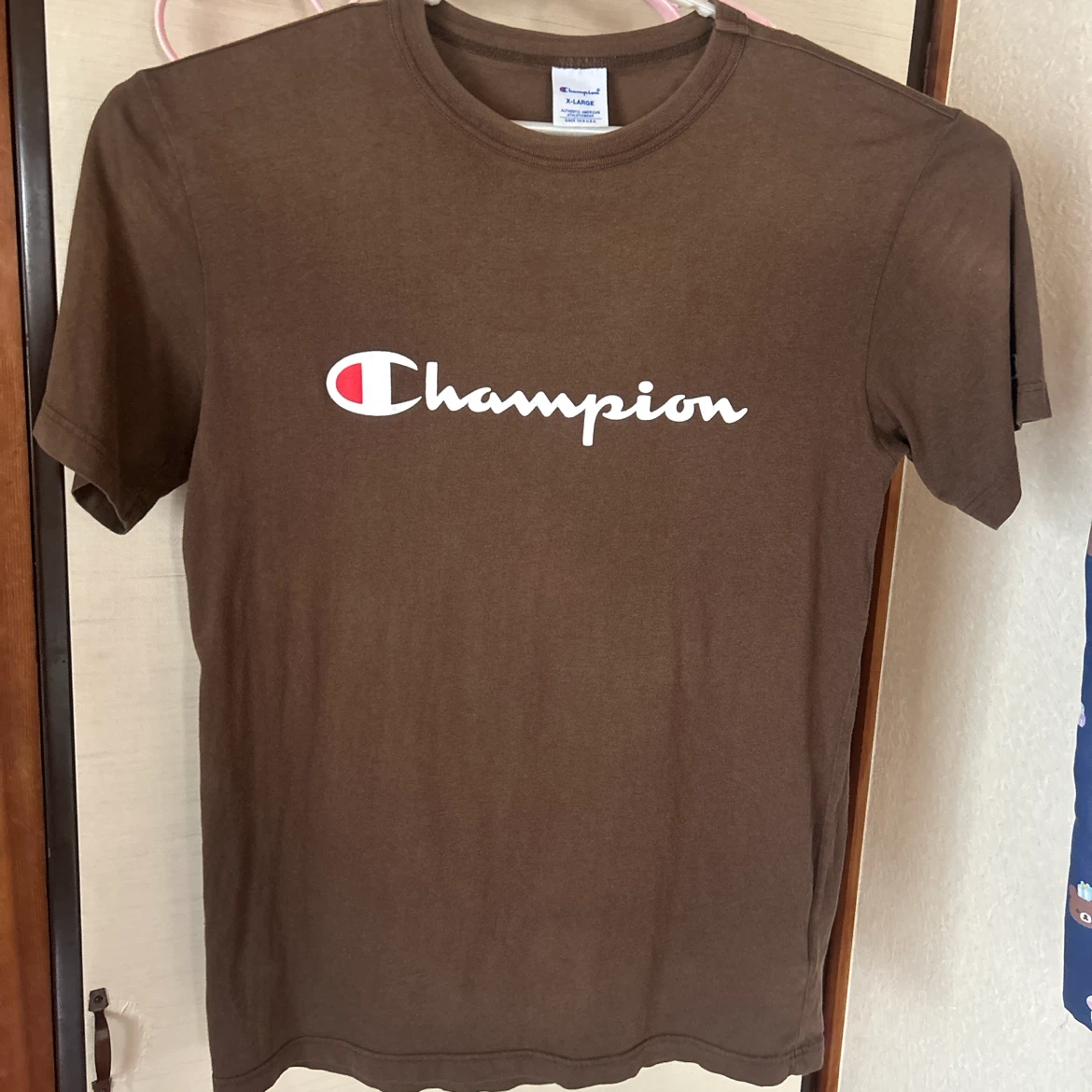 Champion チャンピオン Tシャツ ブラウン XL