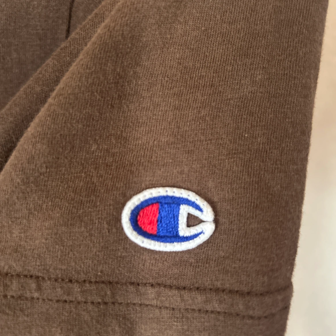 Champion チャンピオン Tシャツ ブラウン XLの写真3枚目