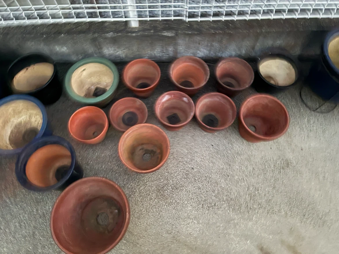 譲ります❗️植木鉢 陶器製の写真2枚目