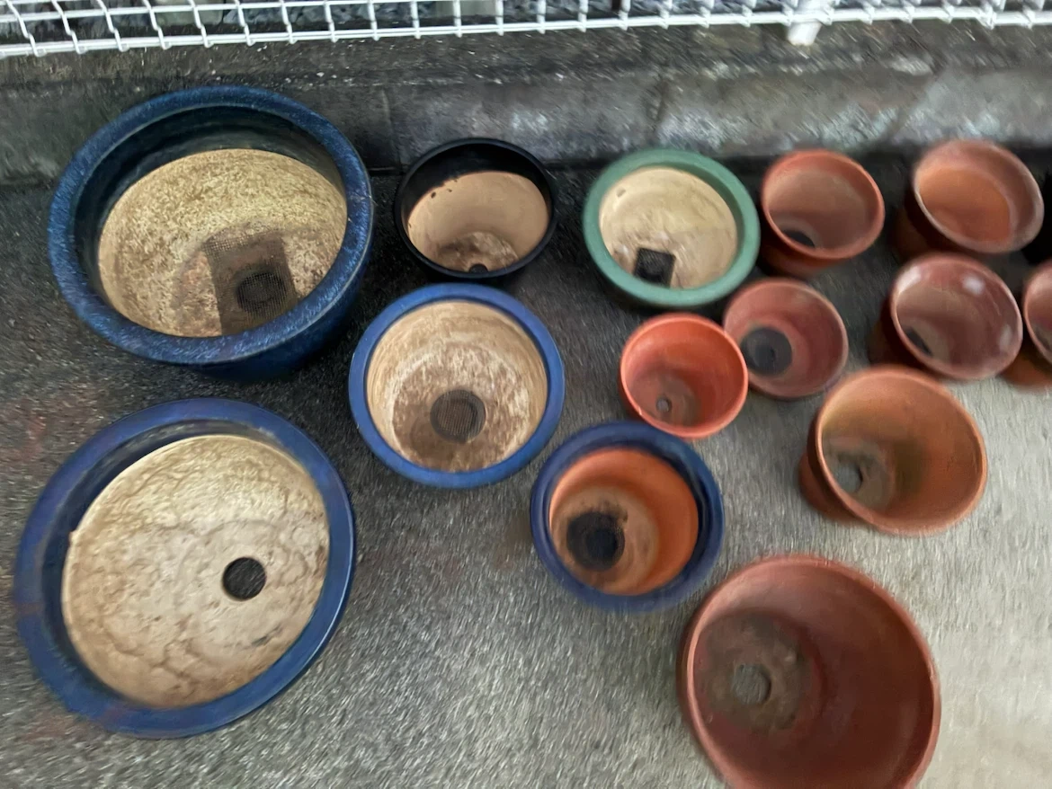 譲ります❗️植木鉢 陶器製の写真3枚目