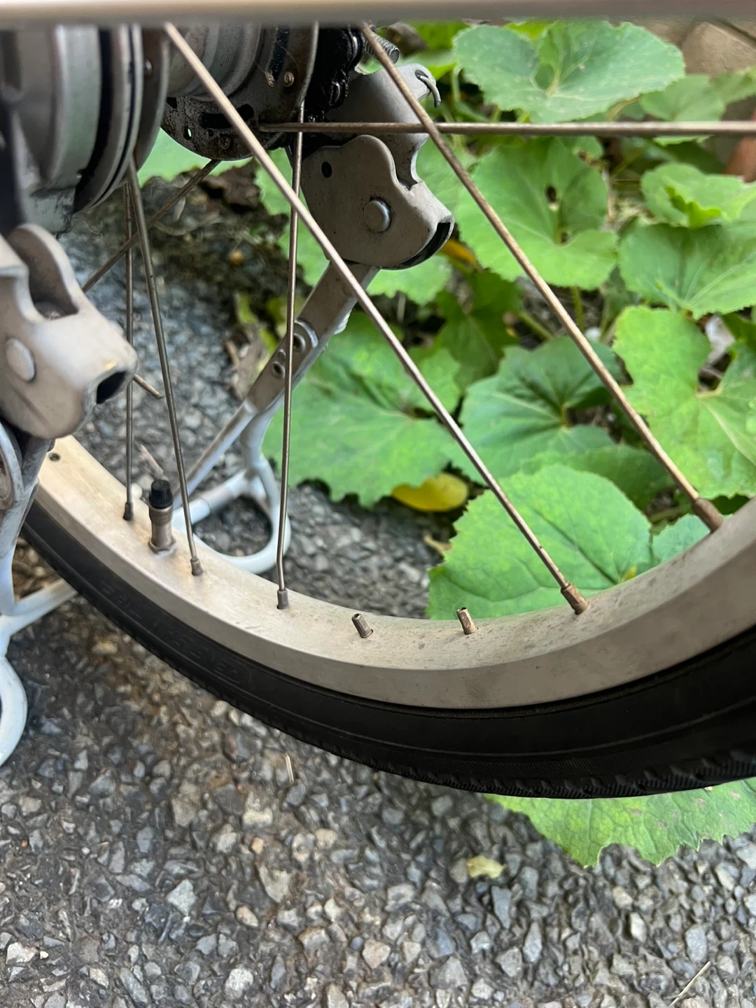 ヤマハ PAS SION 電動アシスト自転車の写真10枚目