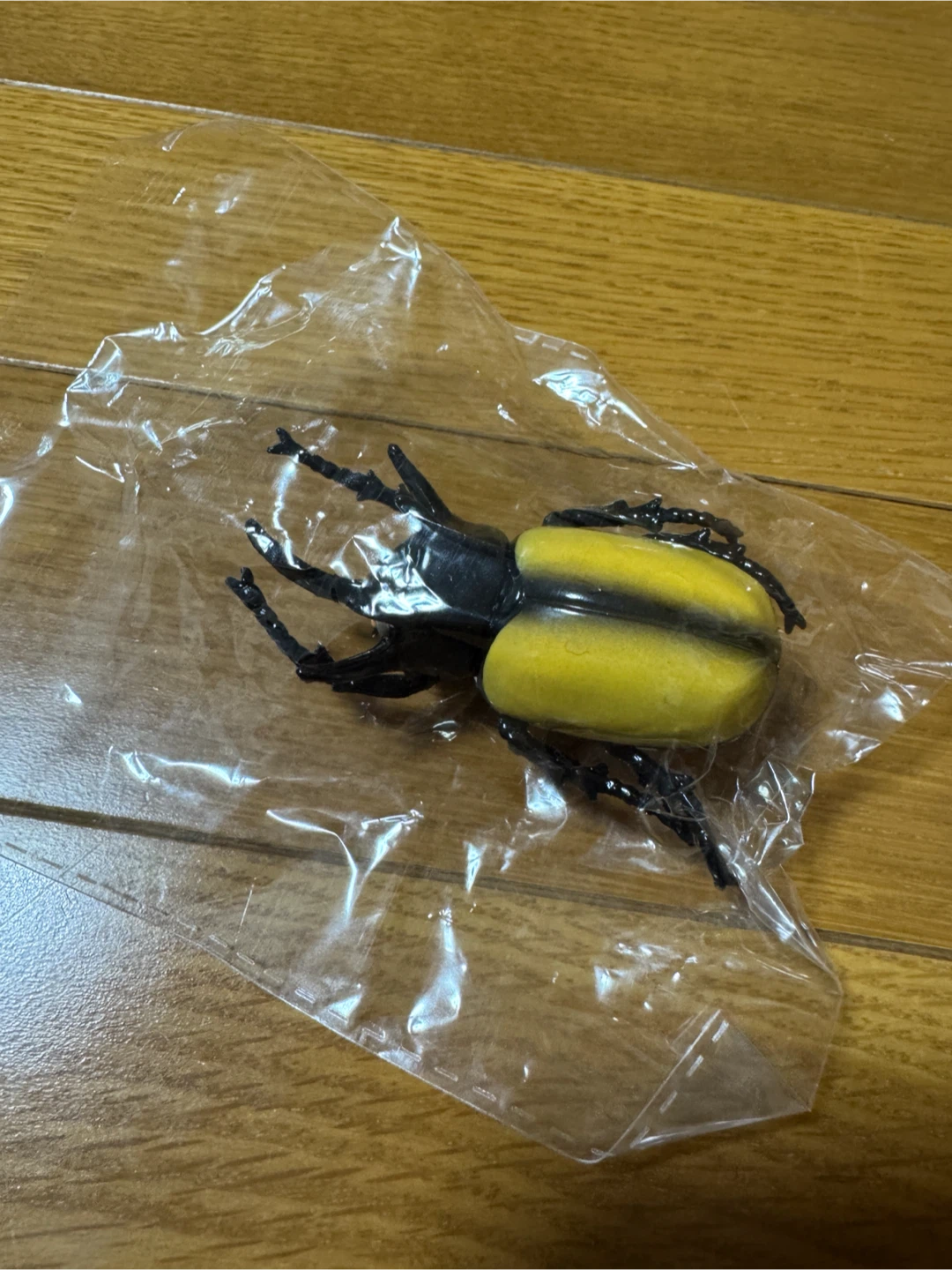カブトムシ 昆虫 プルバックカー