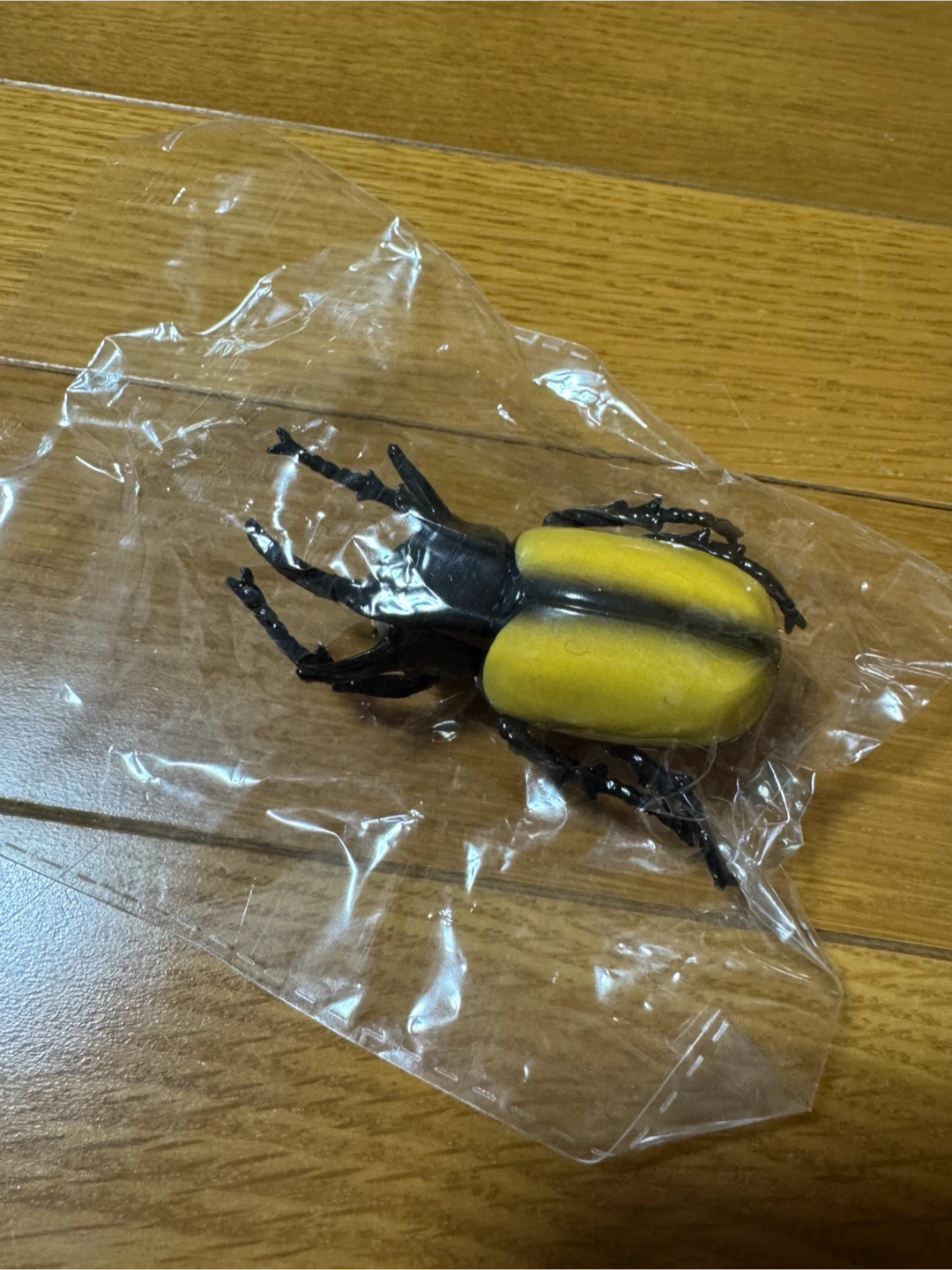 カブトムシ 昆虫 プルバックカー