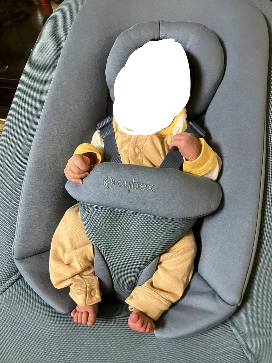 サイベックス レモ バウンサー ブルーグレーの写真3枚目