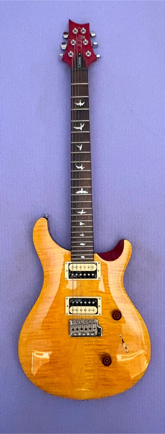 ポールリードスミス エレキギター prs custom se