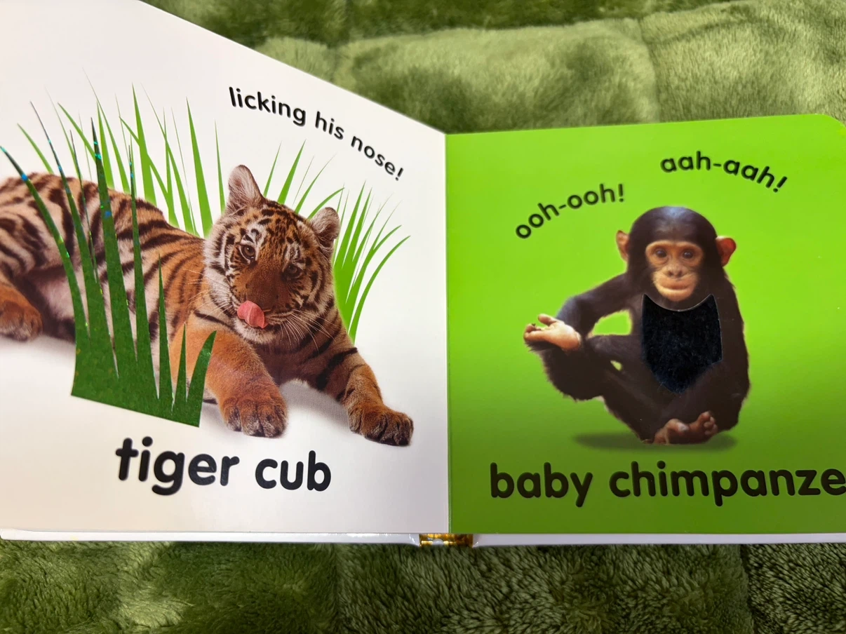 DK Baby Touch and Feel 動物絵本の写真3枚目