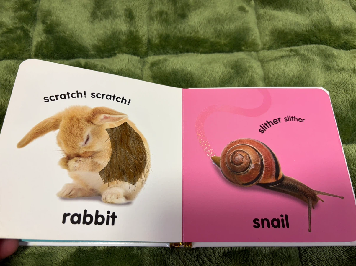 DK Baby Touch and Feel 動物絵本の写真5枚目