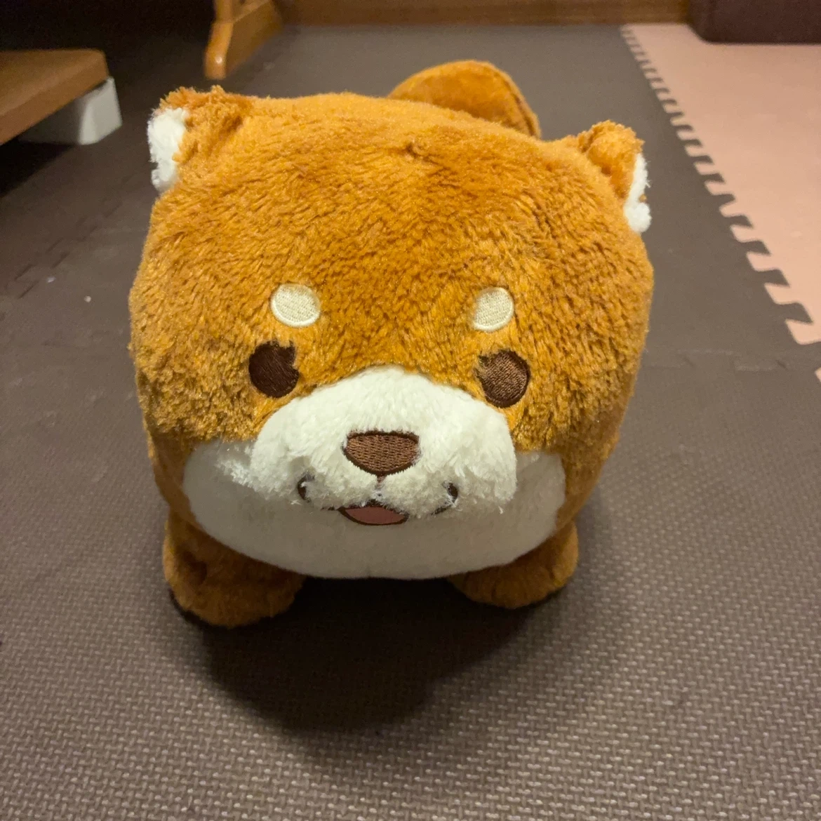 柴犬もちしば