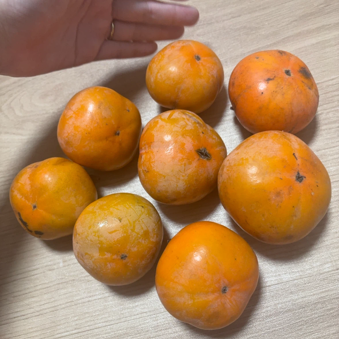 新鮮な柿 8個セットの写真2枚目