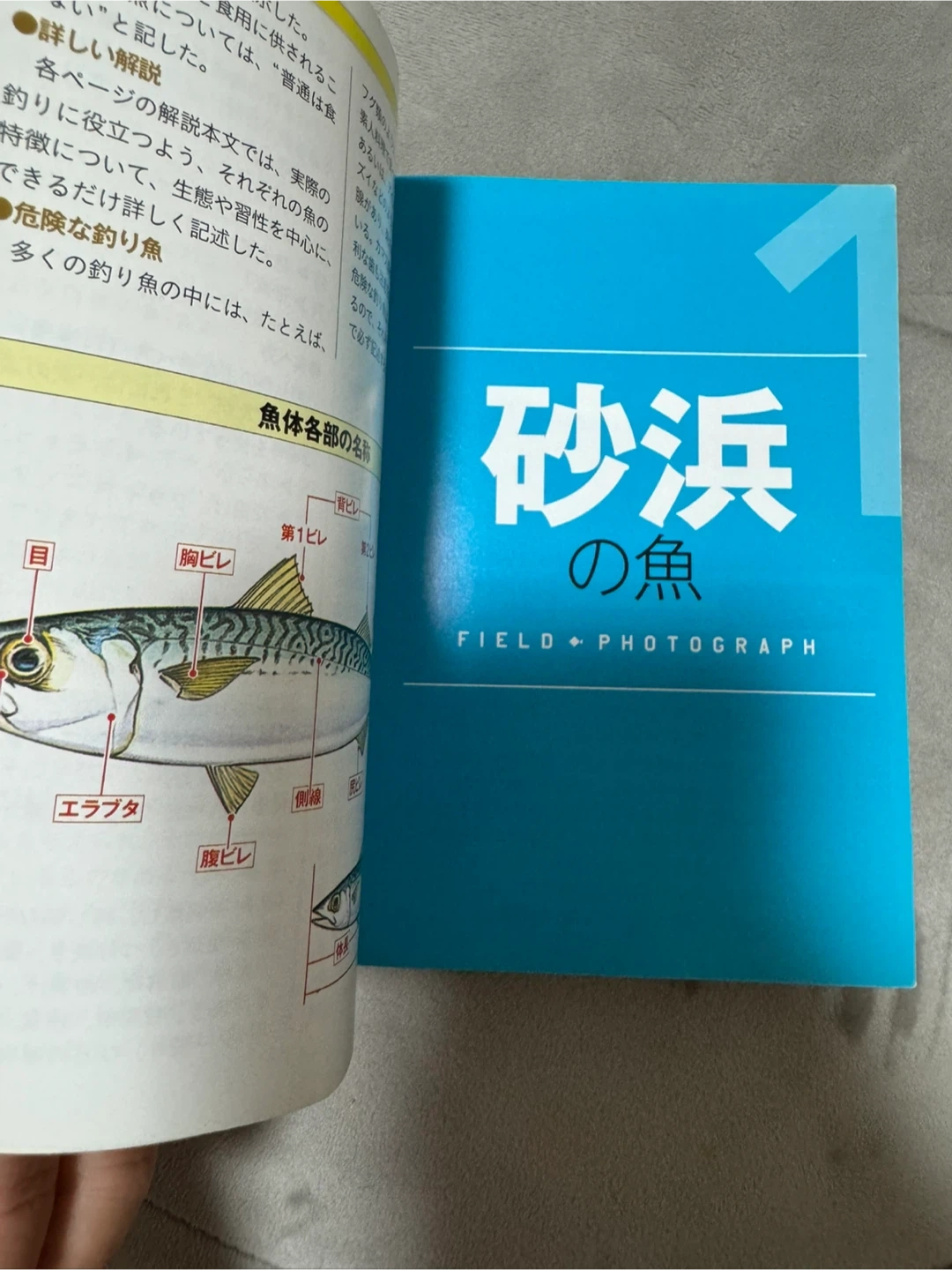 新版 釣り魚カラー図鑑 砂浜の魚