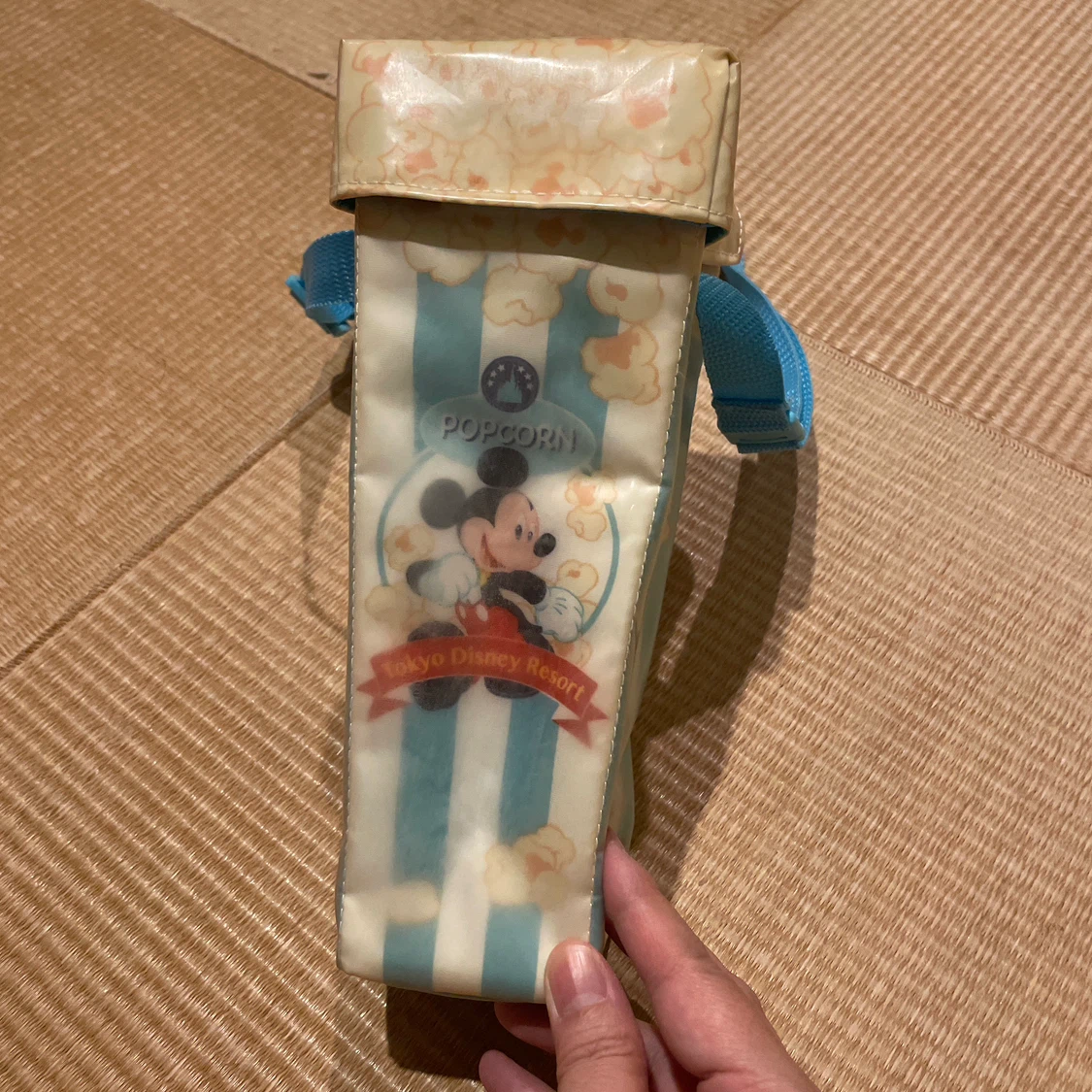 東京ディズニーリゾート ポップコーンバケット