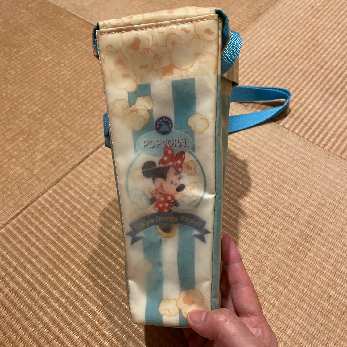 東京ディズニーリゾート ポップコーンバケットの写真2枚目