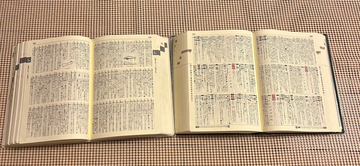 旺文社標準国語辞典 ＆ 全訳漢辞海 2冊セットの写真5枚目