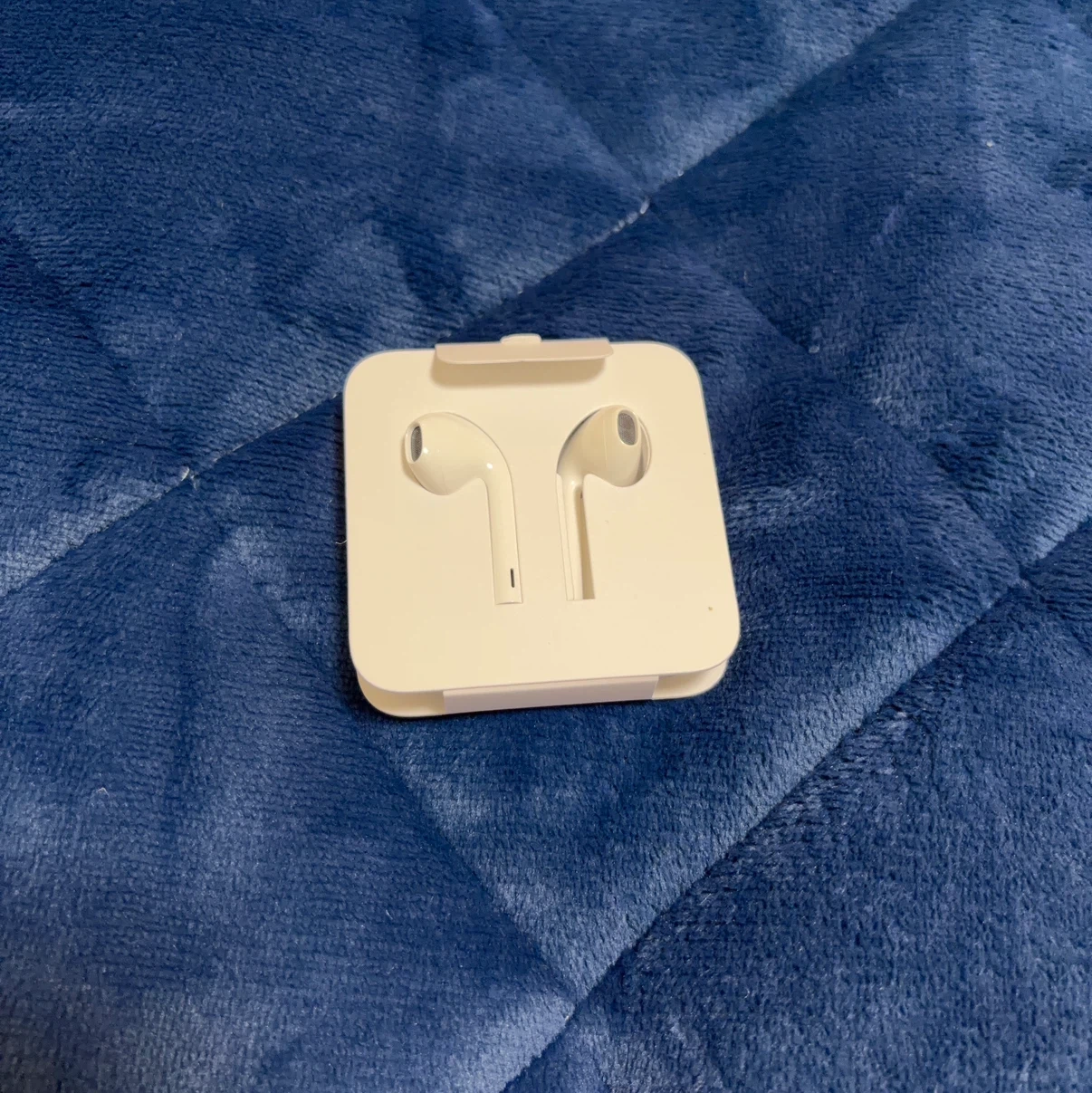 アップル イヤホン EarPods