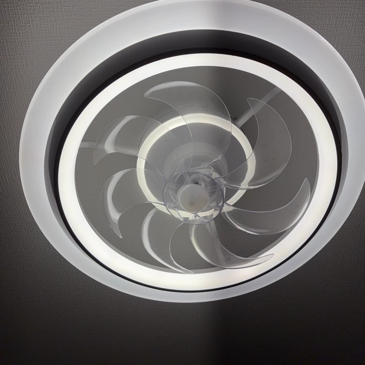 シーリングファンライト LEDの写真2枚目