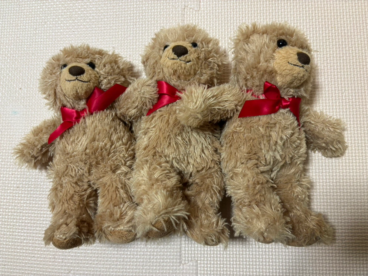 テディベア ぬいぐるみ 3体セット
