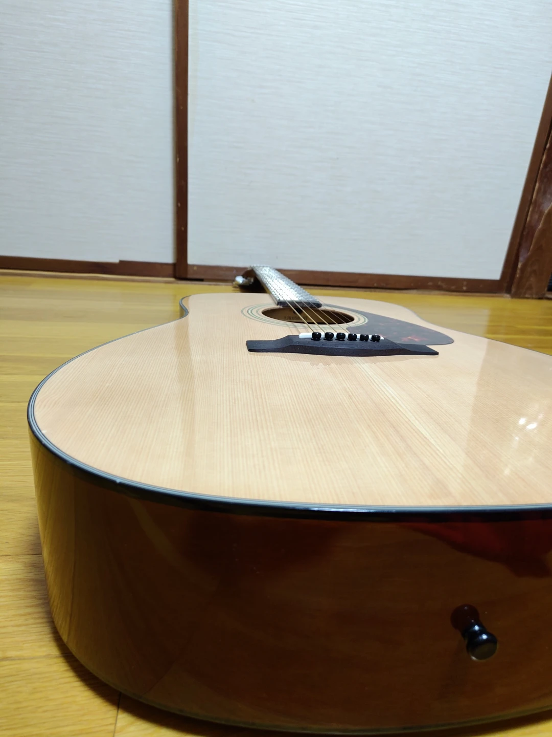 Yamaha F-600の写真10枚目