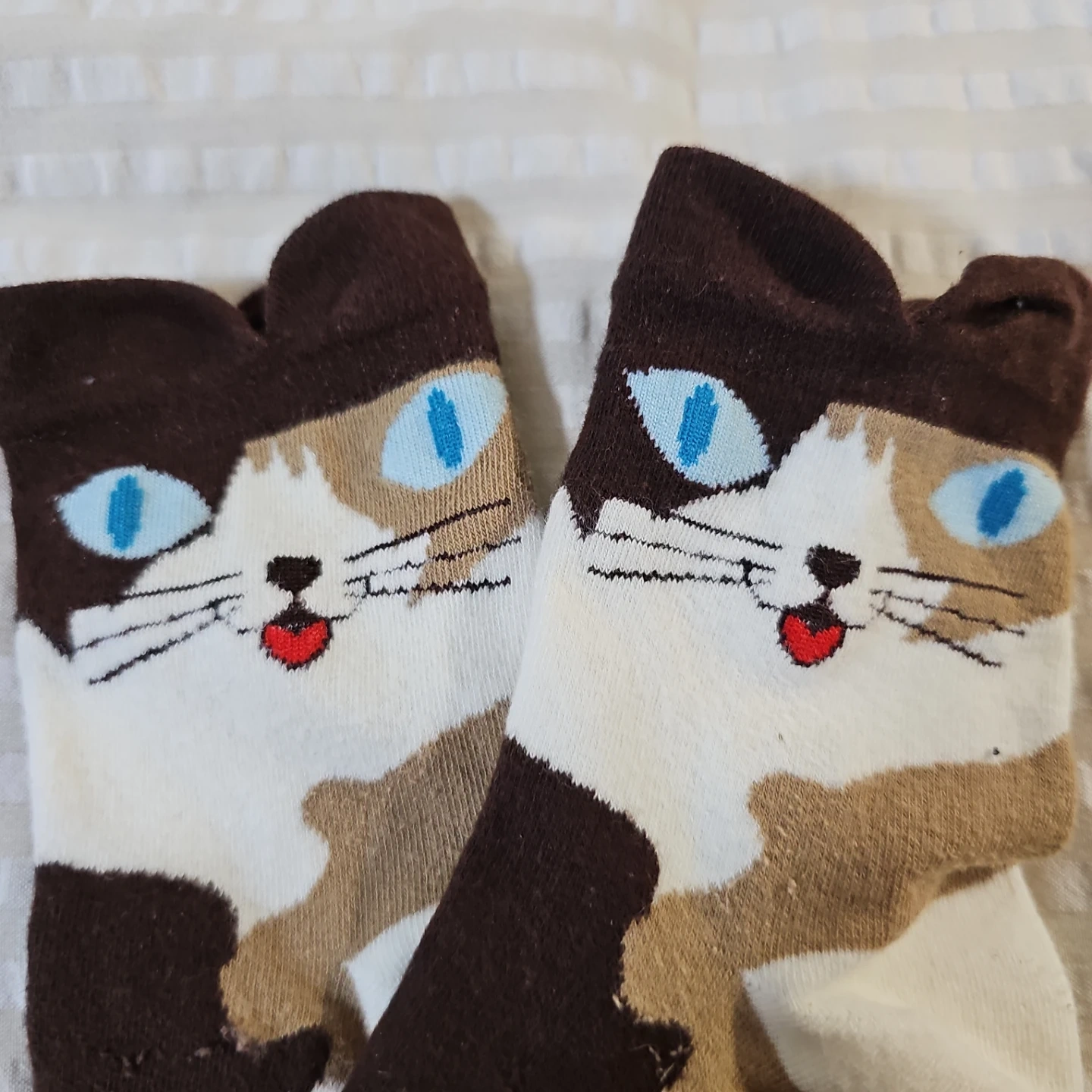 猫デザイン ソックス 4足セットの写真3枚目