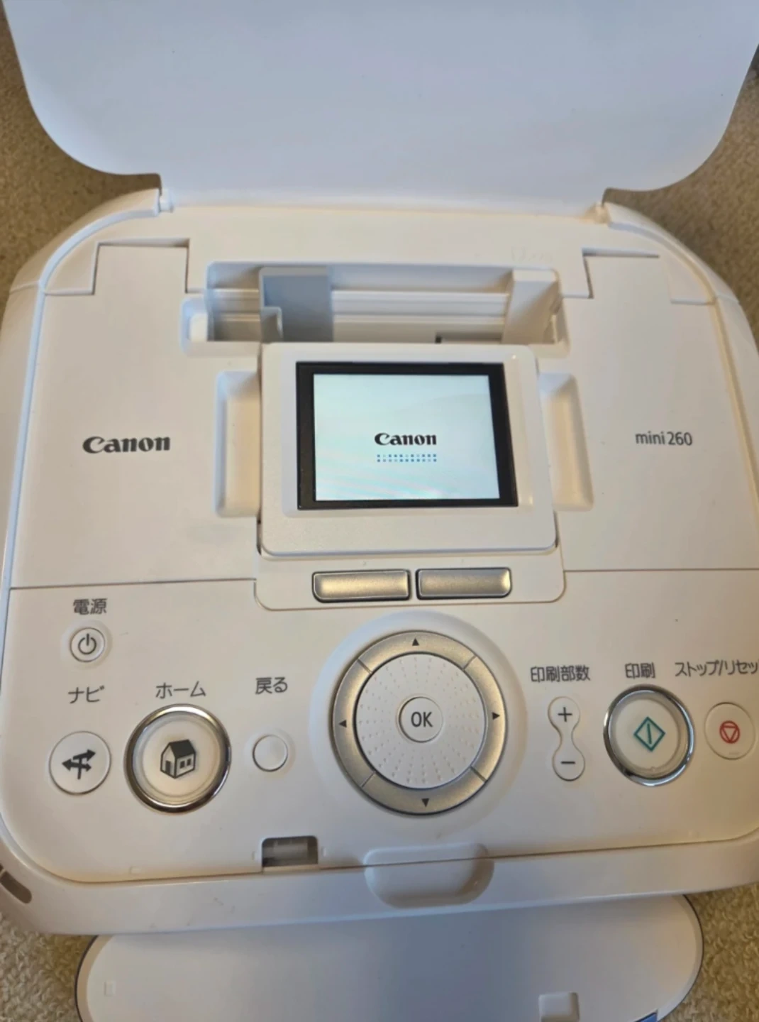 【中古美品/訳あり】Canon PIXUS mini260 付属品完備 通電OKの写真2枚目