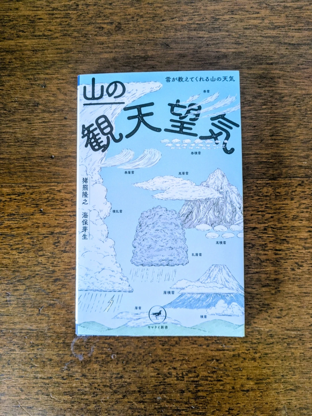 山の観天望気 ヤマケイ新書