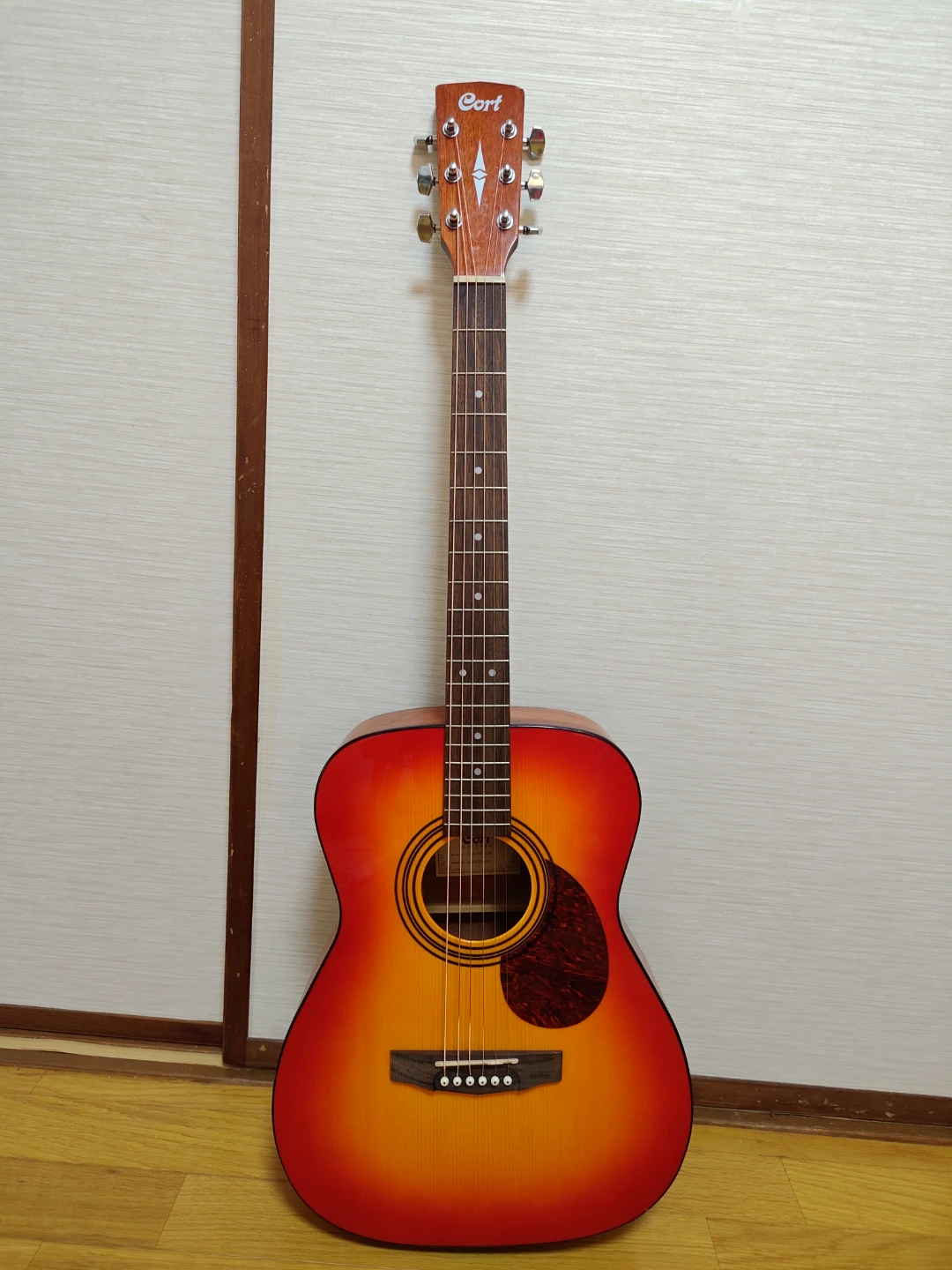 Cort CAG-1F CAO