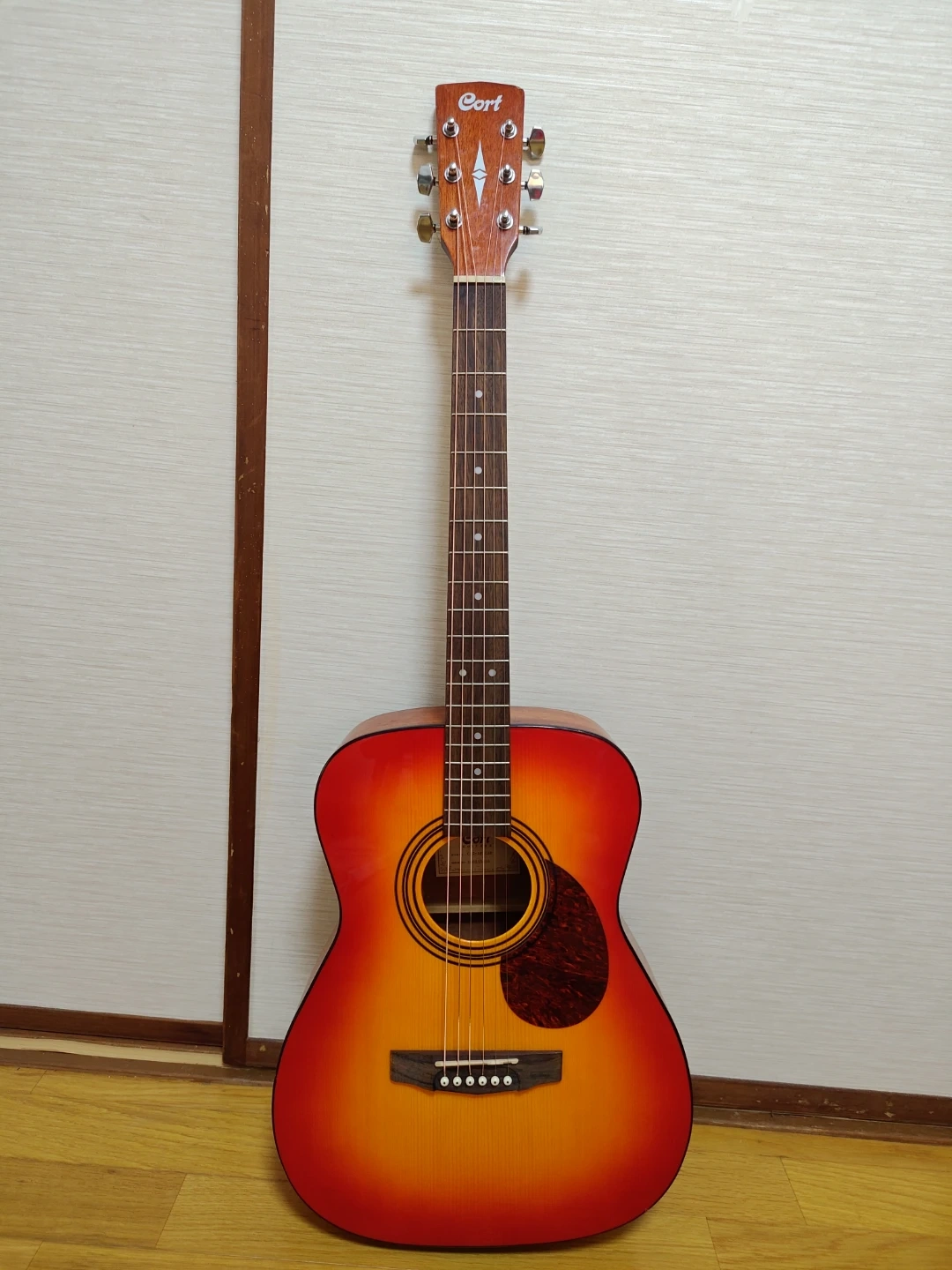Cort CAG-1F CAO