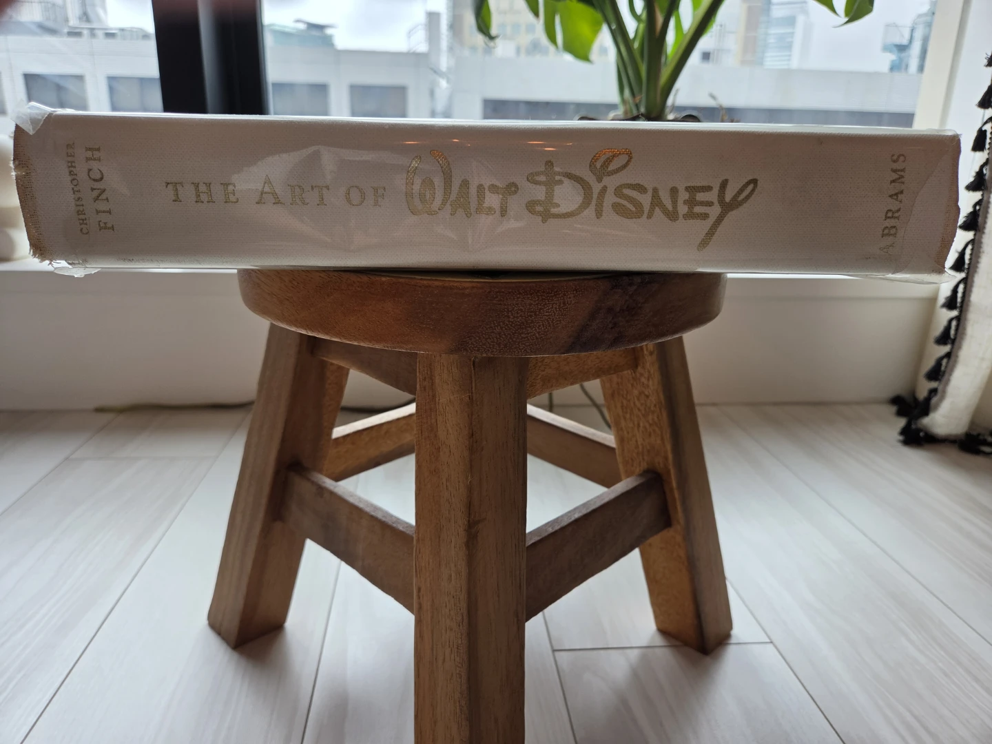 THE ART OF WALT DISNEY 洋書の写真6枚目