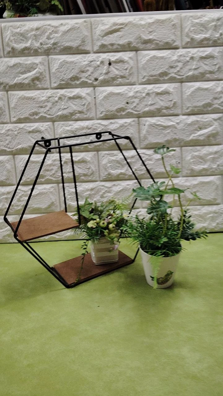 ２種のグリーンの競合　六角形 アイアン2段式ラック観葉植物セット高さ27cmの写真2枚目