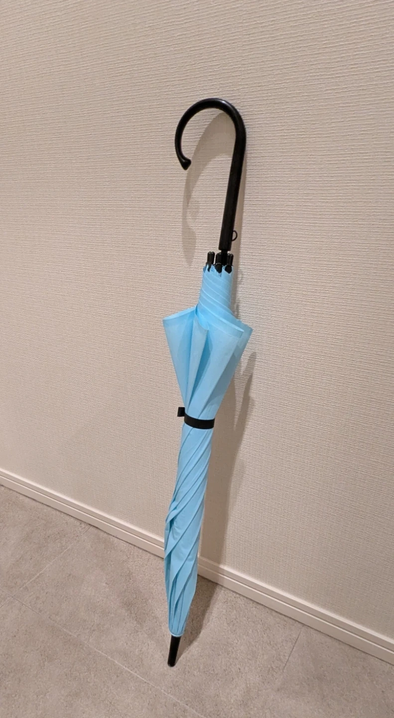 ◇ ブルー傘