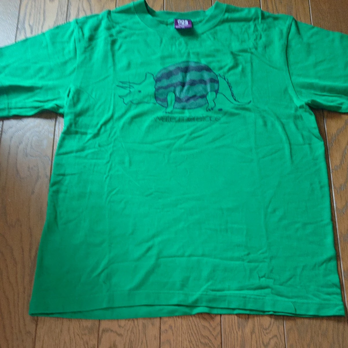 デリシャスグラフィックストア Tシャツ Lサイズ 緑 恐竜