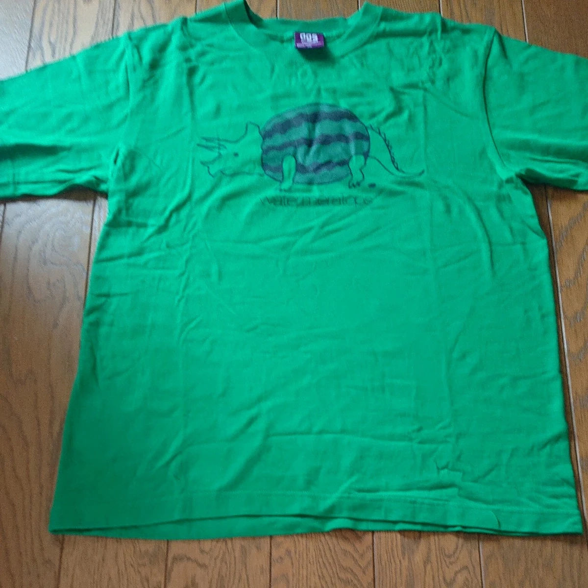 デリシャスグラフィックストア Tシャツ Lサイズ 緑 恐竜