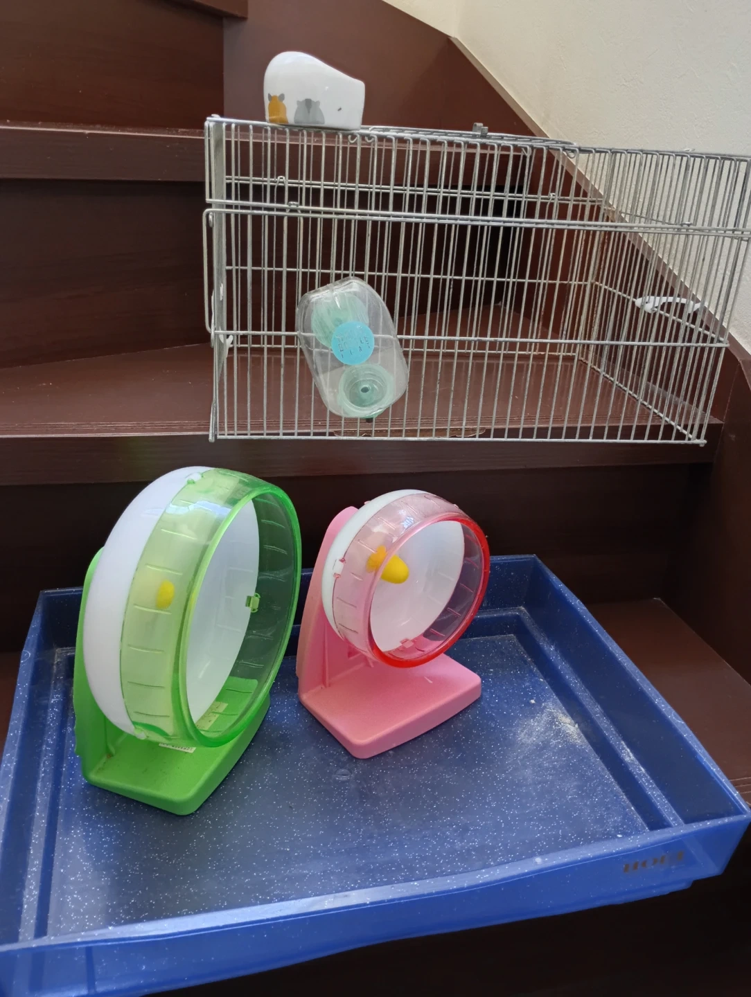 ハムスター/小動物用ケージ一式 回し車 給水器セット