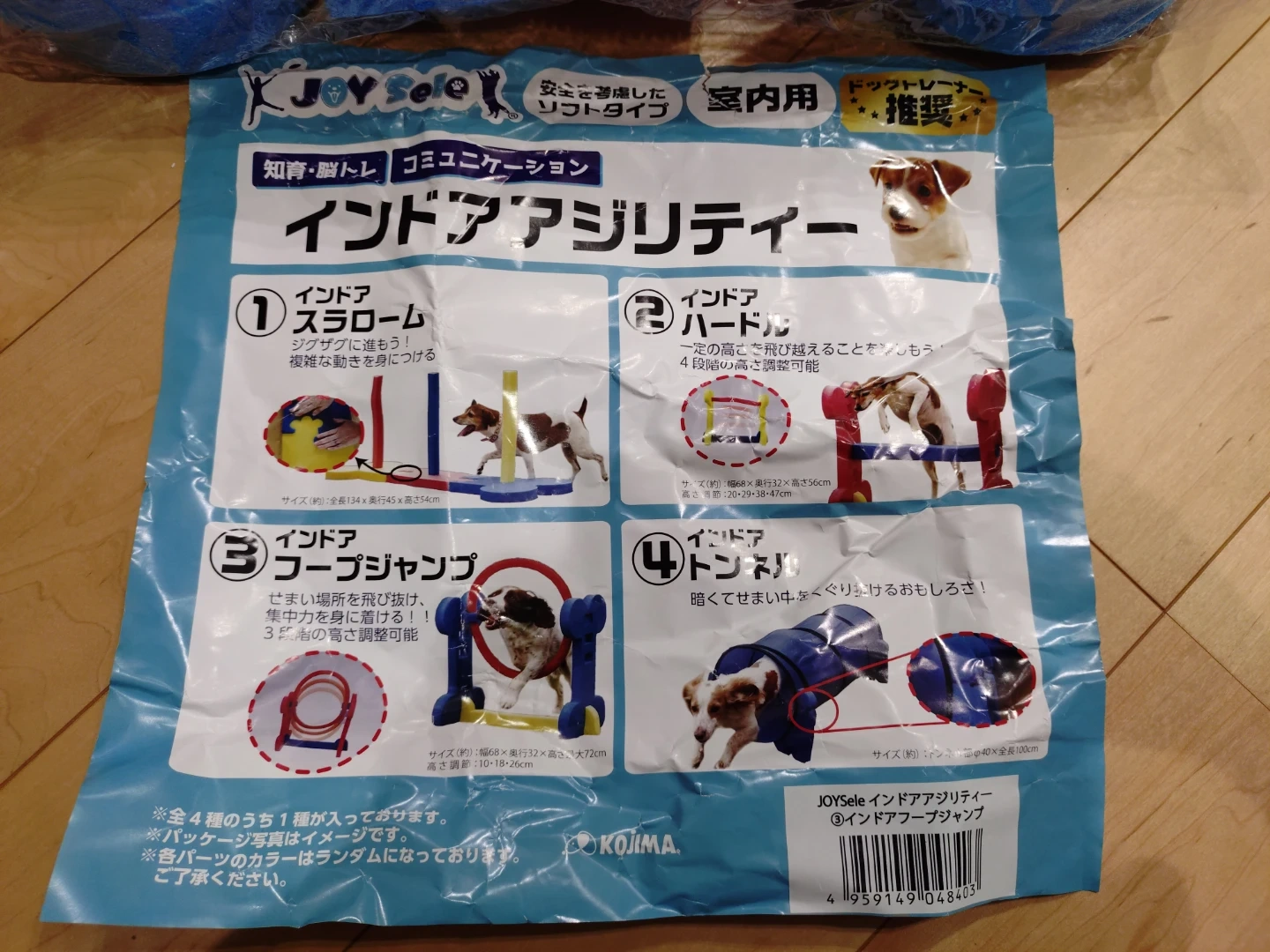 ジョイセレ インドアフープジャンプ アジリティの写真3枚目