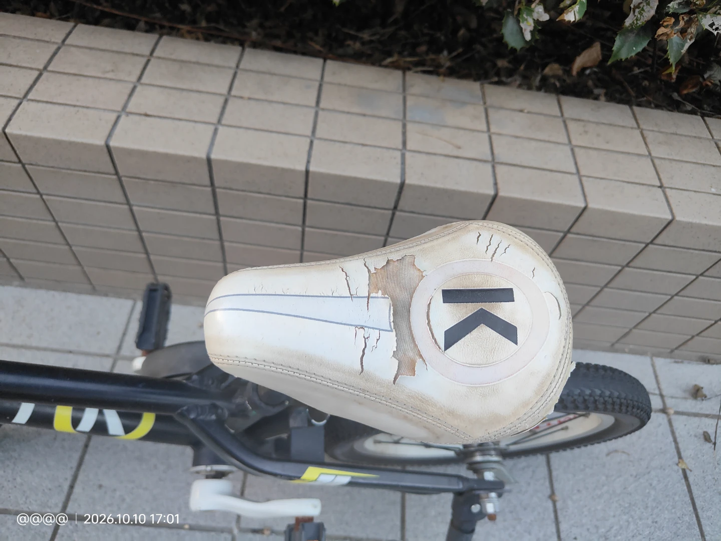 ケノン 子供用自転車 ブラックの写真5枚目