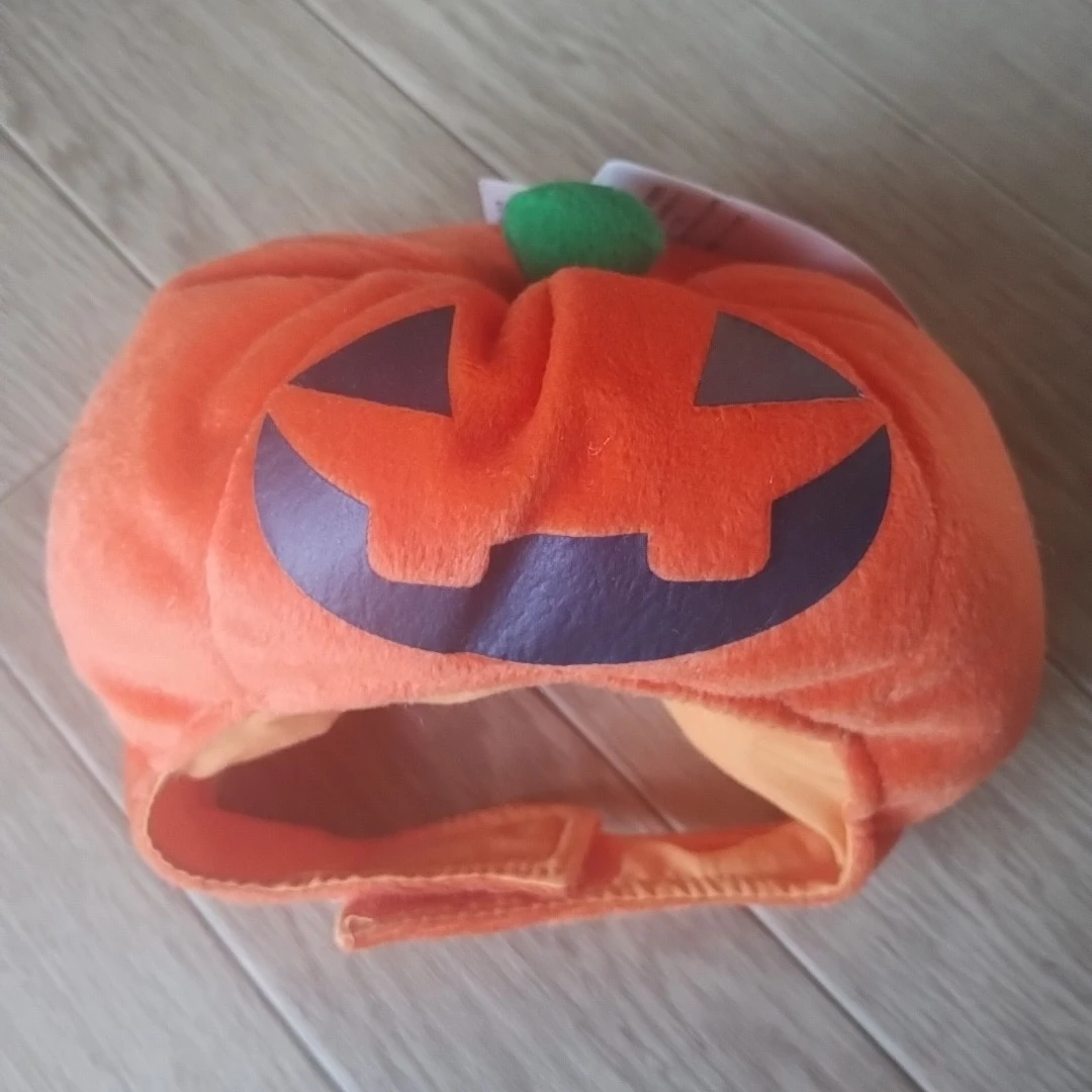 ハロウィン変身帽子　ペット用