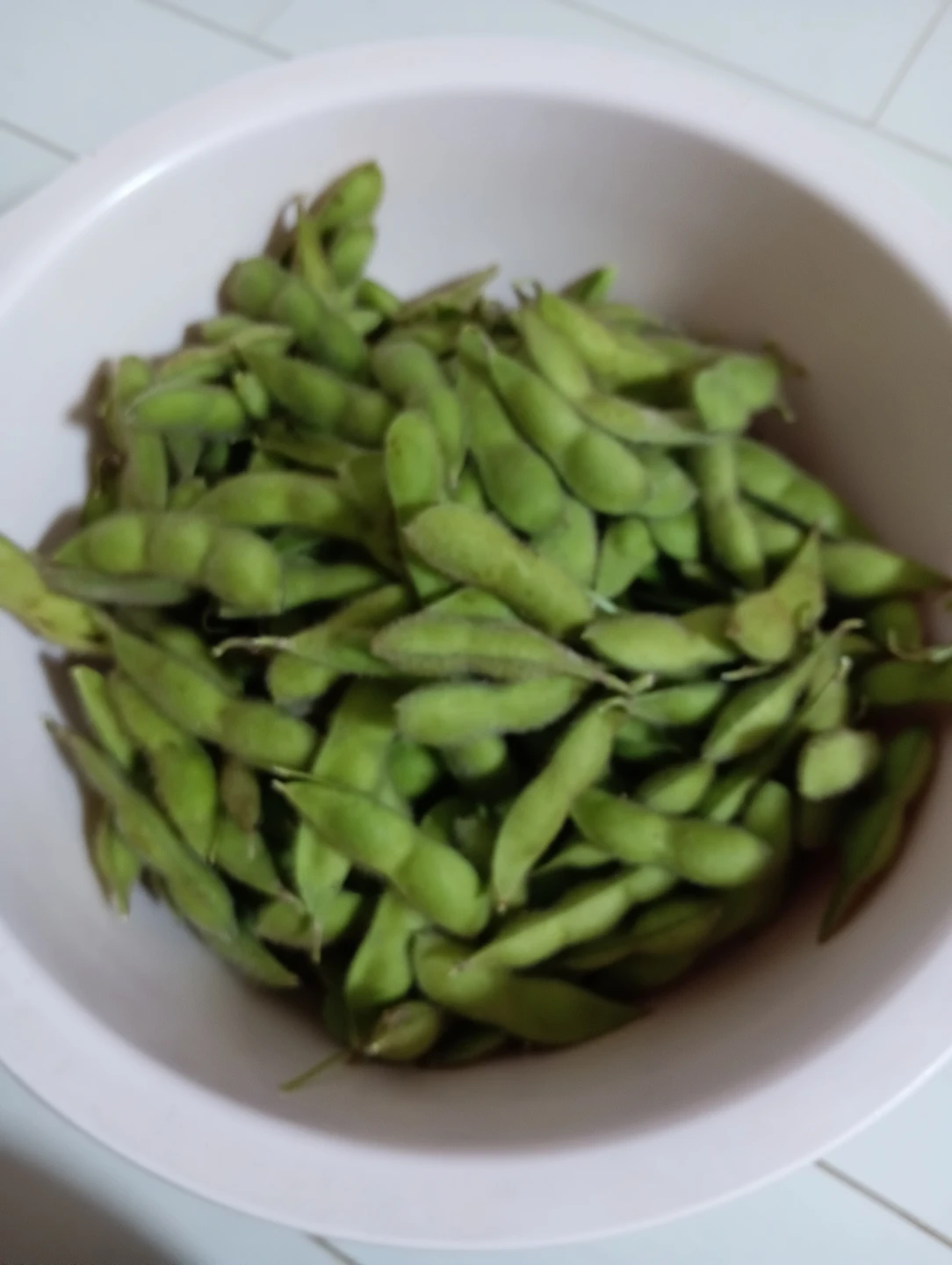 家庭菜園国産枝豆 100g　本日採りました。