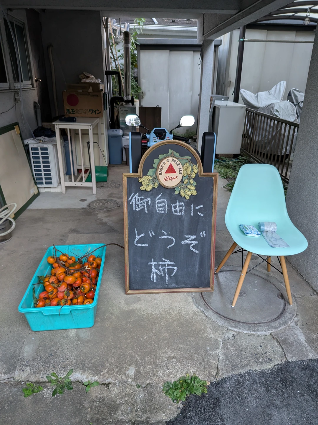 新鮮な枝付き柿 詰め合わせ
