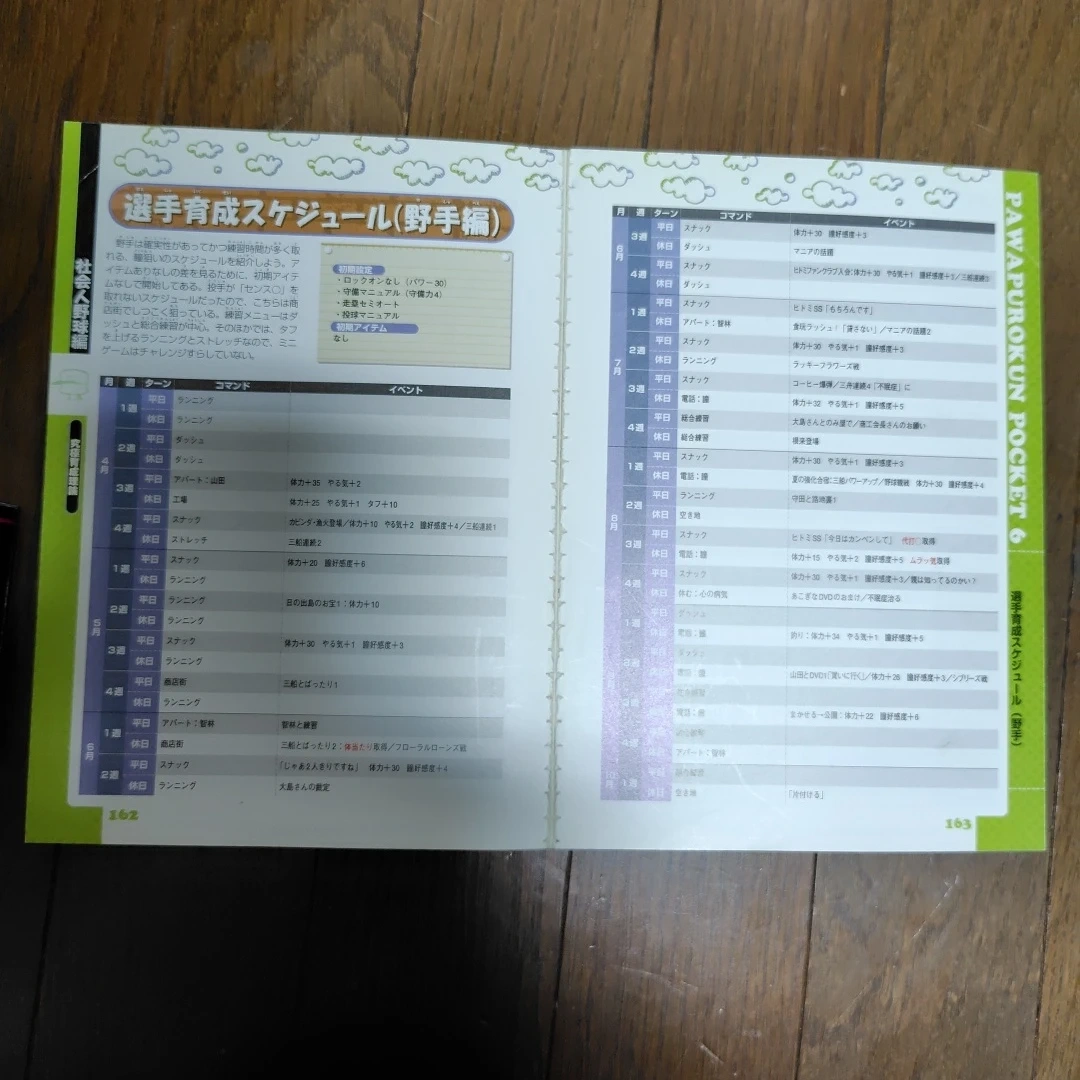 パワプロクンポケット6 究極育成理論 攻略本の写真2枚目